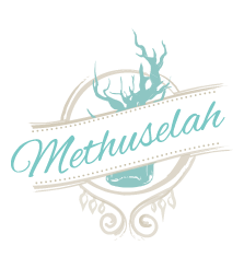 Methuselah